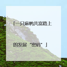 一只麻鸭共富路上的发展“密码”