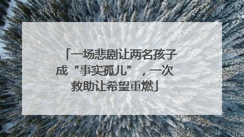 一场悲剧让两名孩子成“事实孤儿”，一次救助让希望重燃
