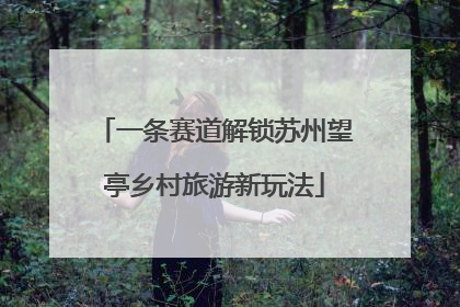 一条赛道解锁苏州望亭乡村旅游新玩法