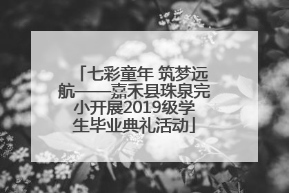 七彩童年 筑梦远航——嘉禾县珠泉完小开展2019级学生毕业典礼活动
