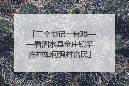三个书记一台戏——看泗水县金庄镇辛庄村如何强村富民