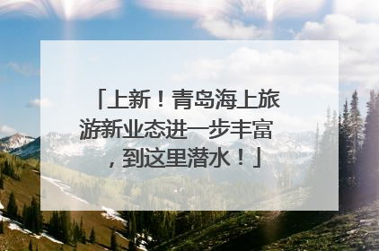 上新！青岛海上旅游新业态进一步丰富，到这里潜水！