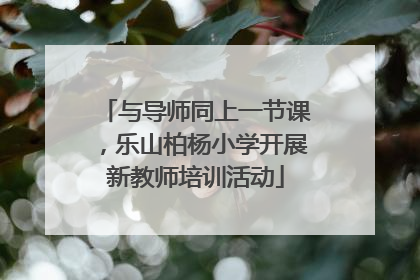 与导师同上一节课，乐山柏杨小学开展新教师培训活动