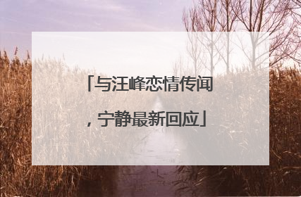 与汪峰恋情传闻，宁静最新回应