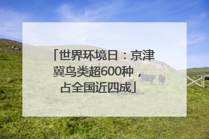 世界环境日：京津冀鸟类超600种，占全国近四成