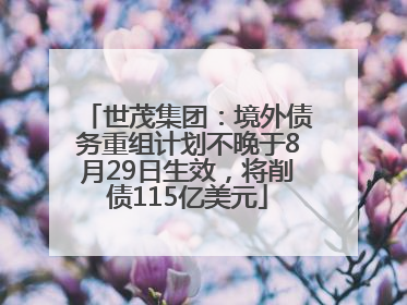 世茂集团：境外债务重组计划不晚于8月29日生效，将削债115亿美元