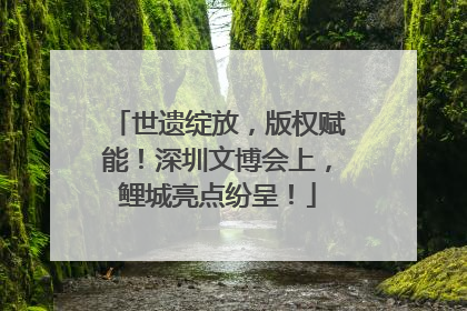 世遗绽放，版权赋能！深圳文博会上，鲤城亮点纷呈！