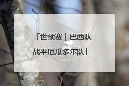 世预赛｜巴西队战平厄瓜多尔队