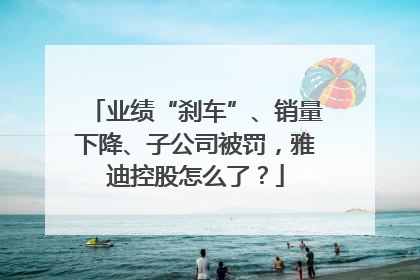 业绩“刹车”、销量下降、子公司被罚，雅迪控股怎么了？