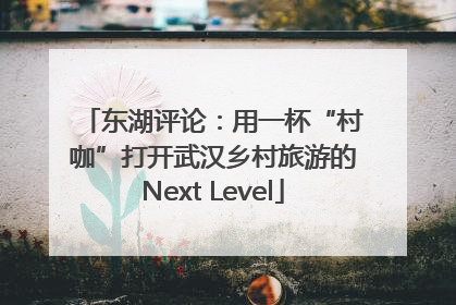东湖评论：用一杯“村咖”打开武汉乡村旅游的Next Level