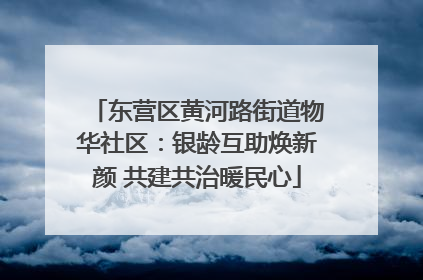 东营区黄河路街道物华社区：银龄互助焕新颜 共建共治暖民心
