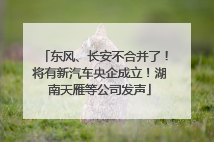 东风、长安不合并了！将有新汽车央企成立！湖南天雁等公司发声