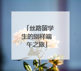 丝路留学生的别样端午之旅