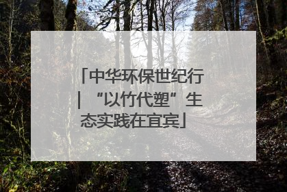 中华环保世纪行｜“以竹代塑”生态实践在宜宾