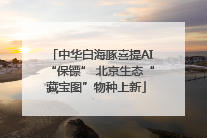 中华白海豚喜提AI“保镖” 北京生态“藏宝图”物种上新
