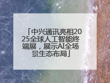 中兴通讯亮相2025全球人工智能终端展，展示AI全场景生态布局