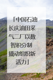 中国石油长庆油田采气二厂以数智积分制 撬动组织新活力