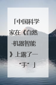中国科学家在《自然·机器智能》上露了一“手”