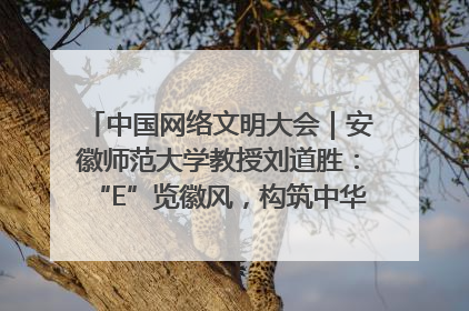中国网络文明大会｜安徽师范大学教授刘道胜：“E”览徽风，构筑中华民族共有精神家园