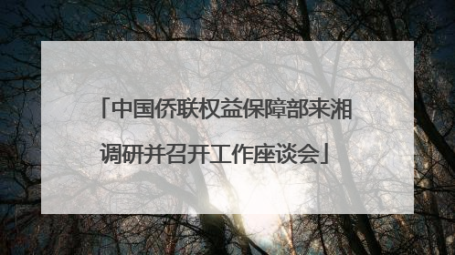中国侨联权益保障部来湘调研并召开工作座谈会