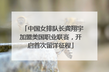 中国女排队长龚翔宇加盟美国职业联赛，开启首次留洋征程