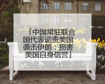 中国常驻联合国代表谴责美国袭击伊朗：损害美国自身信誉
