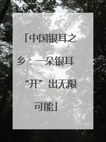 中国银耳之乡：一朵银耳“开”出无限可能