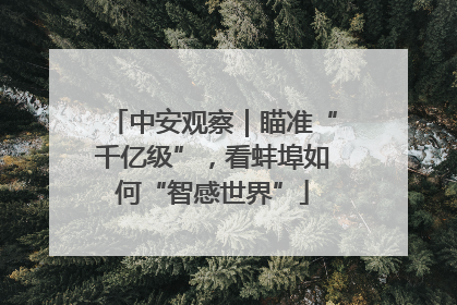 中安观察｜瞄准“千亿级”，看蚌埠如何“智感世界”