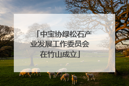 中宝协绿松石产业发展工作委员会在竹山成立