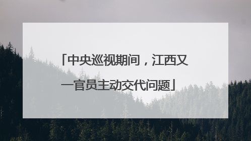 中央巡视期间，江西又一官员主动交代问题