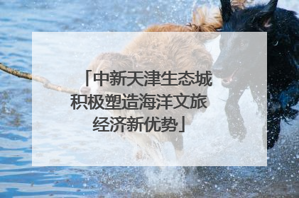 中新天津生态城积极塑造海洋文旅经济新优势