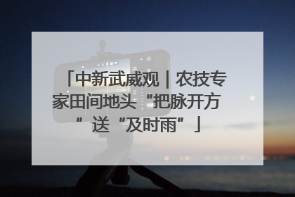 中新武威观｜农技专家田间地头“把脉开方”送“及时雨”