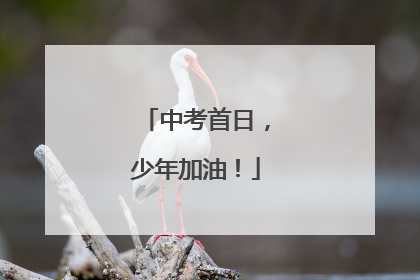 中考首日，少年加油！