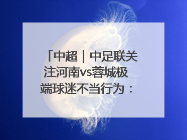 中超｜中足联关注河南vs蓉城极端球迷不当行为：强烈谴责！