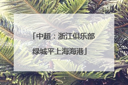 中超：浙江俱乐部绿城平上海海港