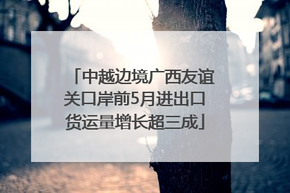 中越边境广西友谊关口岸前5月进出口货运量增长超三成