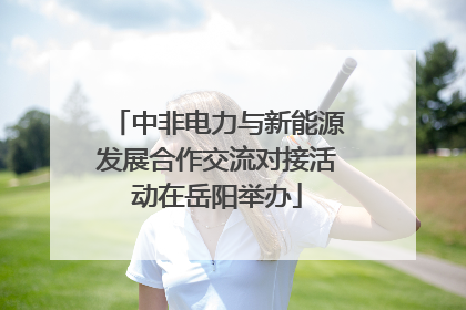 中非电力与新能源发展合作交流对接活动在岳阳举办