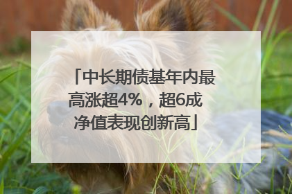 中长期债基年内最高涨超4%，超6成净值表现创新高