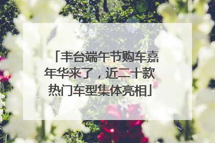 丰台端午节购车嘉年华来了，近二十款热门车型集体亮相