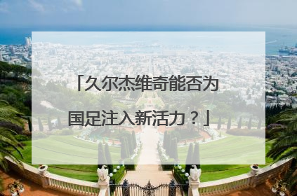 久尔杰维奇能否为国足注入新活力？