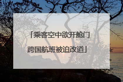 乘客空中欲开舱门 跨国航班被迫改道