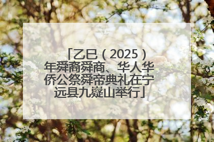 乙巳（2025）年舜裔舜商、华人华侨公祭舜帝典礼在宁远县九嶷山举行