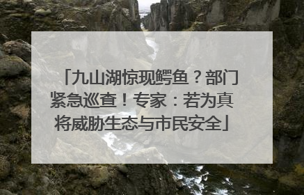 九山湖惊现鳄鱼？部门紧急巡查！专家：若为真将威胁生态与市民安全