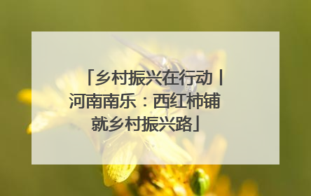 乡村振兴在行动丨河南南乐：西红柿铺就乡村振兴路