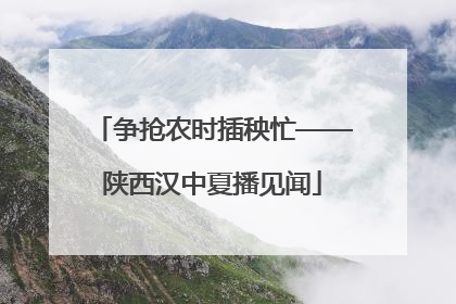 争抢农时插秧忙——陕西汉中夏播见闻