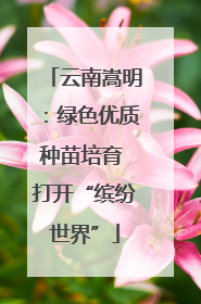 云南嵩明：绿色优质种苗培育 打开“缤纷世界”