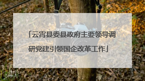云霄县委县政府主要领导调研党建引领国企改革工作