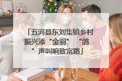 五河县东刘集镇乡村振兴添“金羽” “鸽”声叫响致富路