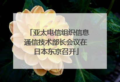 亚太电信组织信息通信技术部长会议在日本东京召开