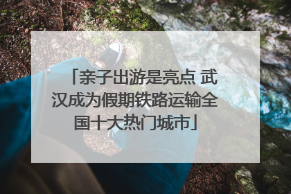 亲子出游是亮点 武汉成为假期铁路运输全国十大热门城市